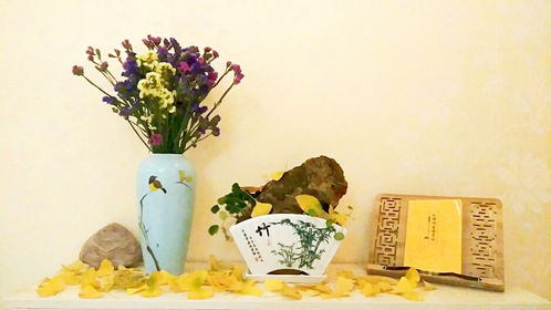 漢上采風(fēng)記 初冬漢中的溫馨與樹(shù)木經(jīng)營(yíng)