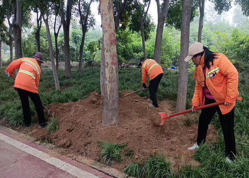 秋季移植添新綠，精細(xì)養(yǎng)護(hù)煥新顏 樹(shù)木種植指南