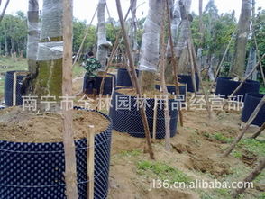 批發(fā)苗木專用控根器 控根快速育苗容器選購(gòu)指南與廠商推薦